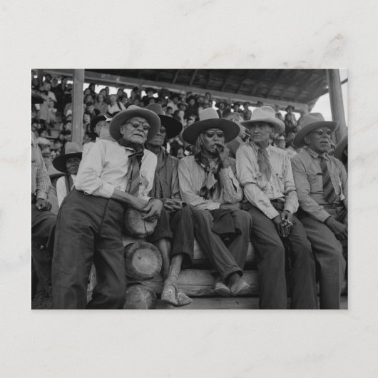 Oude cowboys op Rodeo  foto Briefkaart (Voorkant)