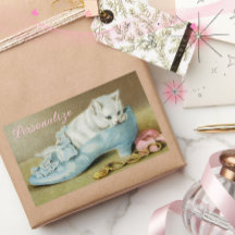 Oude cute witte kat in een blauwe satijnen schoen