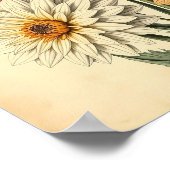Oude Dahlias op Verweerd Papier Poster (Hoek)