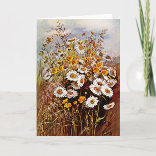 Oude Daisy Madeliefje Boterbloemen Wilde Bloemen Feestdagen Kaart