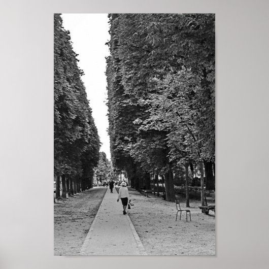 Oude dame loopt in Parijs in de zomer Poster (Voorkant)