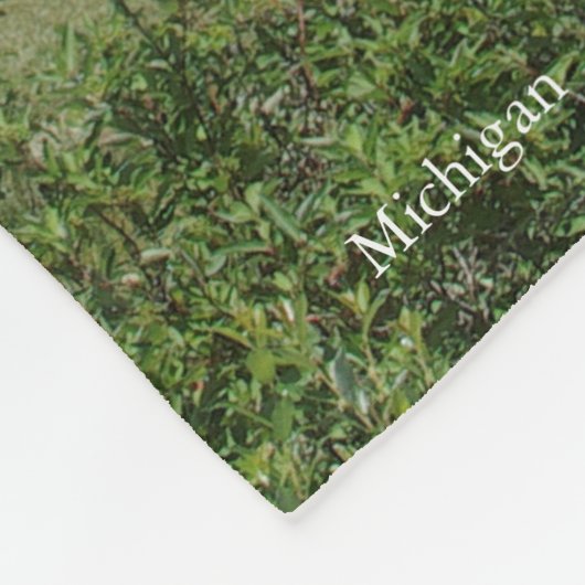 Oude deken van de vuurtoren van Presque Isle (Hoek)