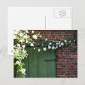 Oude deur en rozen briefkaart (Voorkant / Achterkant)