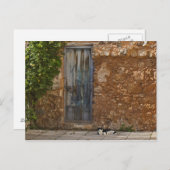 Oude deur en rustkat briefkaart (Voorkant / Achterkant)