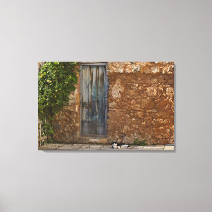 Oude deur en rustkat canvas afdruk