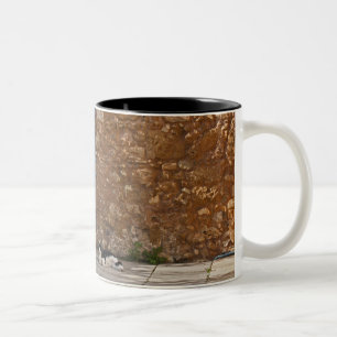 Oude deur en rustkat tweekleurige koffiemok