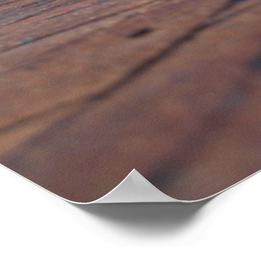 Oude deuren van de kerk in Detroit Poster (Hoek)