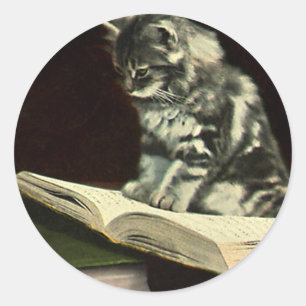 Oude dier, Schattig Victoriaans poesje leest boek Ronde Sticker