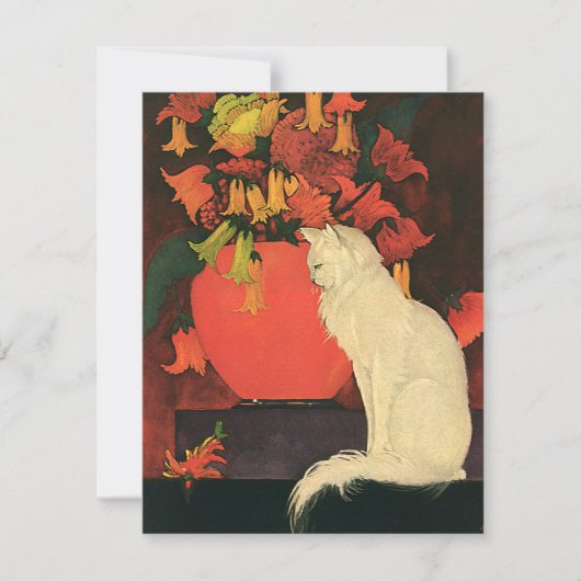 Oude dieren, elegante witte kat, herfstbloemen (Voorkant)