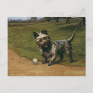 Oude dieren Honden, Schattige Schotse Terriër Pupp Briefkaart