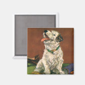 Oude Dieren, Mooie Terrier Puppy Die Schoenen Knaa Magneet (Voorkant / Achterkant)