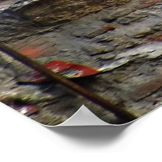 Oude Dirty Sign on Abandoned Building  Poster (Hoek)