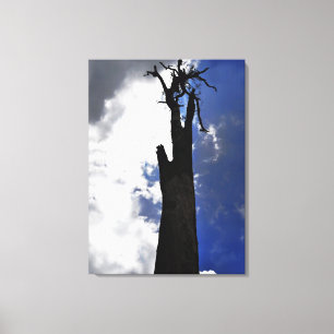 Oude dode boom tegen duistere wolken canvas afdruk
