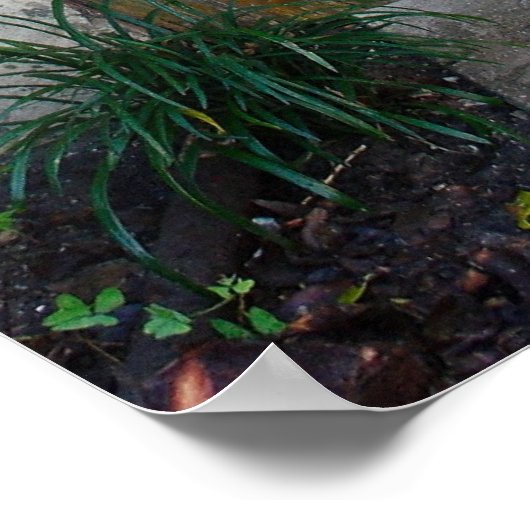 Oude doorgang poster (Hoek)