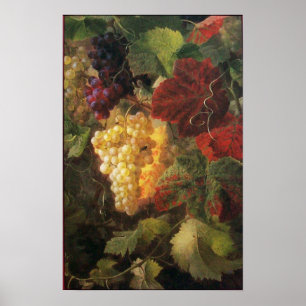 OUDE DRUIVENVINEYARD WIJNBELASTING POSTER