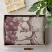 Oude druk van druiven uit de wijngaard tissuepapier (Geschenk)