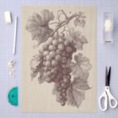 Oude druk van wijngaard druiven tissuepapier (Craft)
