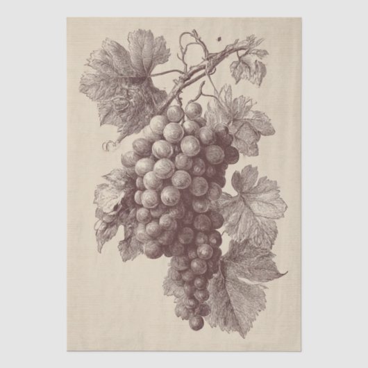 Oude druk van wijngaard druiven tissuepapier (Voorkant)