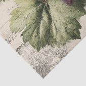Oude druk van wijngaard druiven tissuepapier (Detail)