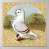 Oude Duitse uil duif in de ronde Poster (Voorkant)