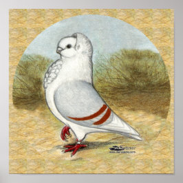 Oude Duitse uil duif in de ronde Poster