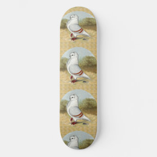 Oude Duitse uil duif in de ronde Skateboard