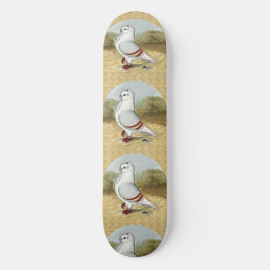 Oude Duitse uil duif in de ronde Skateboard (Voorkant)