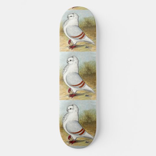 Oude Duitse uilduif staat hoog Skateboard (Voorkant)