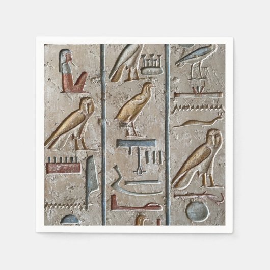 Oude Egypte gegraveerd unieke hiërogliefen gesnede Servet (Voorkant)