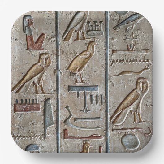 Oude Egypte Hiërogliefisch gegraveerd uniek gesche Papieren Bordje (Voorkant)