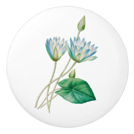 Oude Egyptische Lotusbloem Keramische Knop