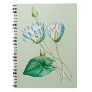 Oude Egyptische Lotusbloem Notitieboek