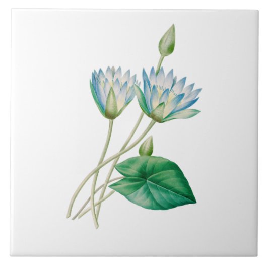 Oude Egyptische Lotusbloem Tegeltje (Voorkant)