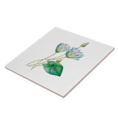 Oude Egyptische Lotusbloem Tegeltje (Zijkant)