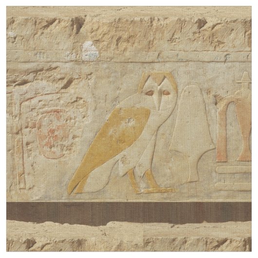  Oude Egyptische Owl Stof (Close Up)