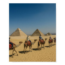 Oude Egyptische piramides woestijn Kameelrit