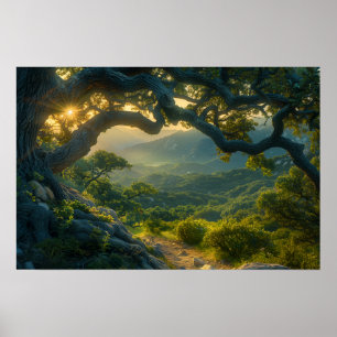 Oude eik bij zonsopgang poster