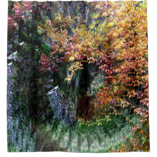 Oude eik boom....... douchegordijn (Voorkant)