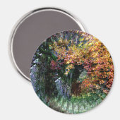 Oude eik boom....... magneet (Voorkant / Achterkant)