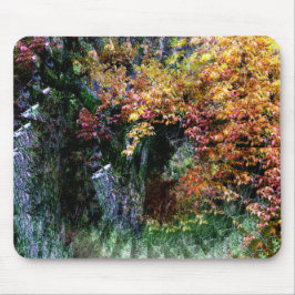 Oude eik boom....... muismat