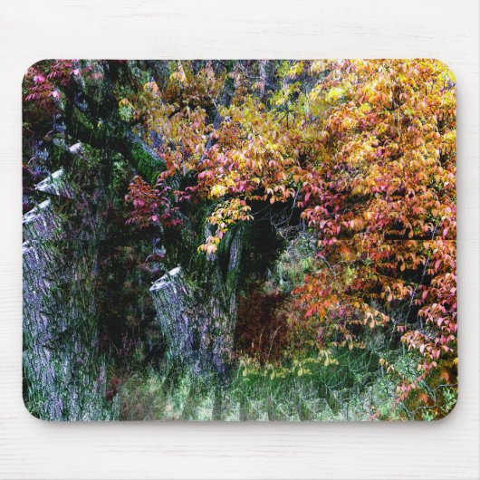 Oude eik boom....... muismat (Voorkant)