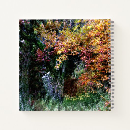 Oude eik boom...... notitieboek (Achterkant)