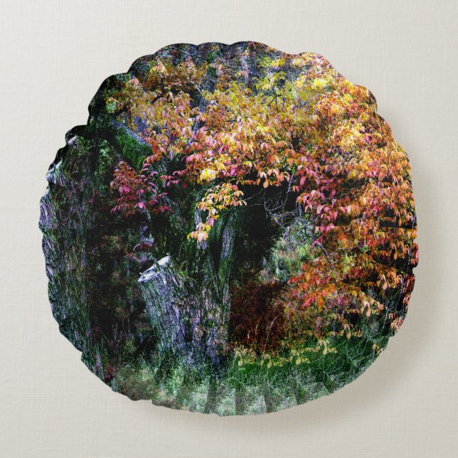 Oude eik boom...... rond kussen (Voorkant)