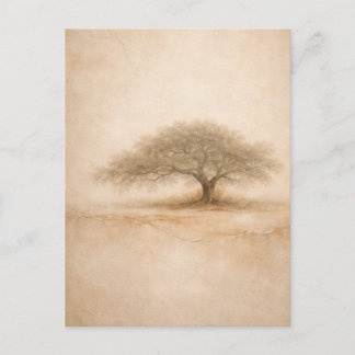 Oude Eik | Zuidelijke Eik Kunst | Postkaart