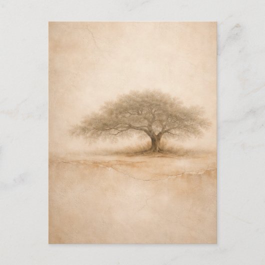 Oude Eik | Zuidelijke Eik Kunst | Postkaart (Voorkant)