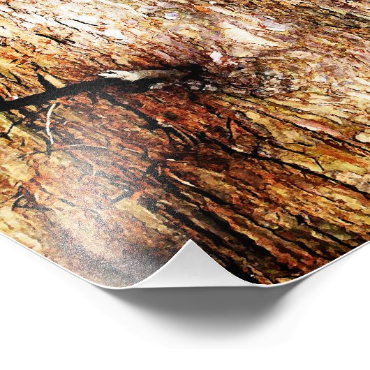 Oude eiken boomschors foto afdruk (Hoek)