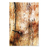 Oude eiken boomschors foto afdruk (Voorkant)