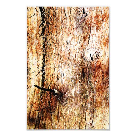Oude eiken boomschors foto afdruk (Voorkant)