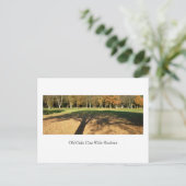 Oude eiken werpen brede schaduwen briefkaart (Staand voorkant)