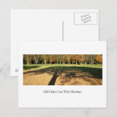 Oude Eiken Werpen Grote Schaduwen Briefkaart (Voorkant / Achterkant)